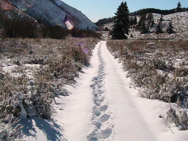 Snow